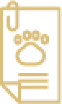 pet application pet application